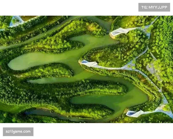 户外体育赛事融合生态修复计划 赛后植入本地植被促进绿色再生